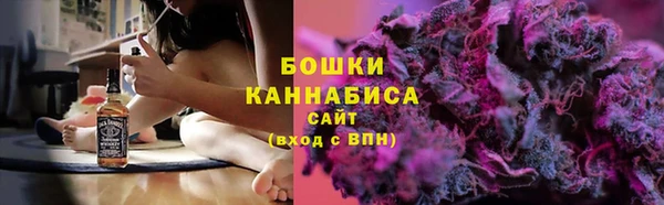 сатива Аркадак