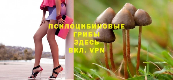 амф Алексин