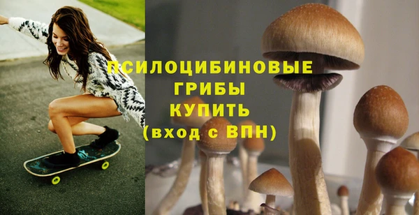 прущие грибы Приозерск