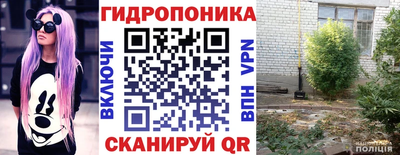 Канабис планчик  купить наркотики сайты  Разумное 